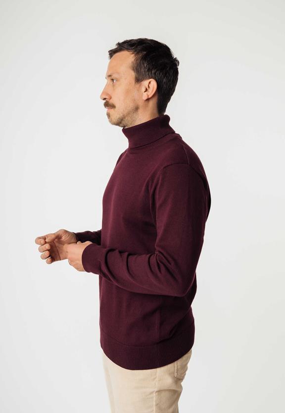 Turtleneck Kanja Raisin Red from Shop Like You Give a Damn