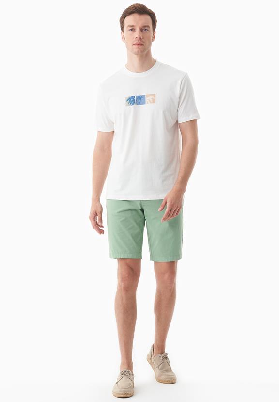Shorts Regular-Fit Matcha Groen via Shop Like You Give a Damn