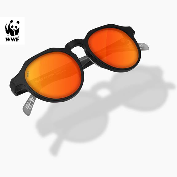 Bird sunglasses online