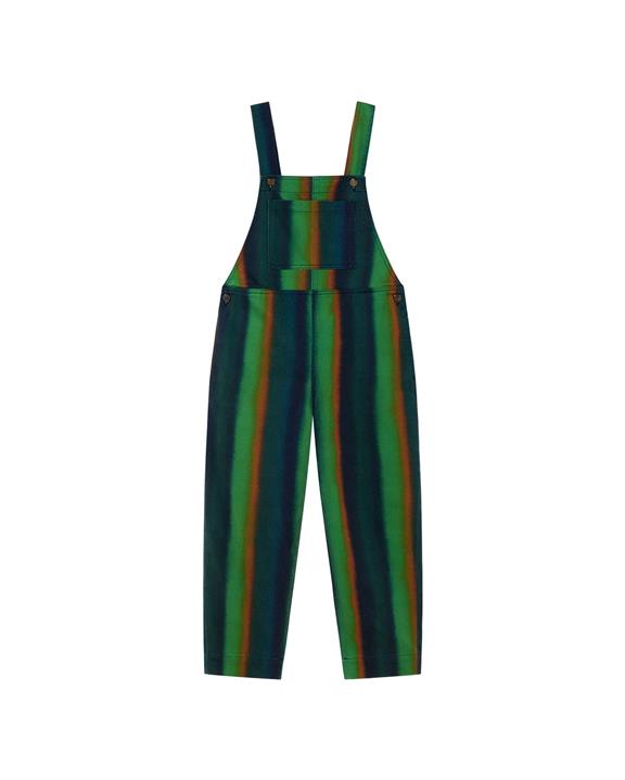 Dungarees Monkey Light Swamp Green from Shop Like You Give a Damn