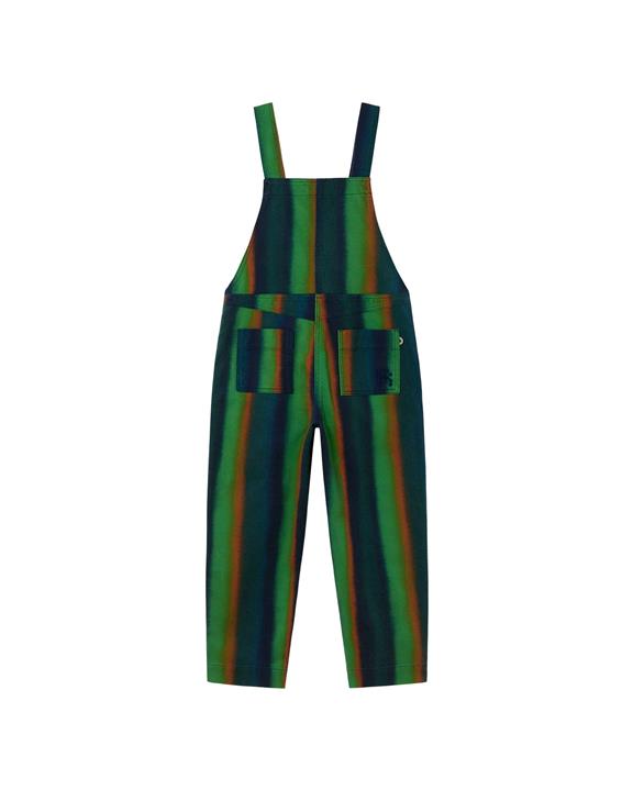 Dungarees Monkey Light Swamp Green from Shop Like You Give a Damn