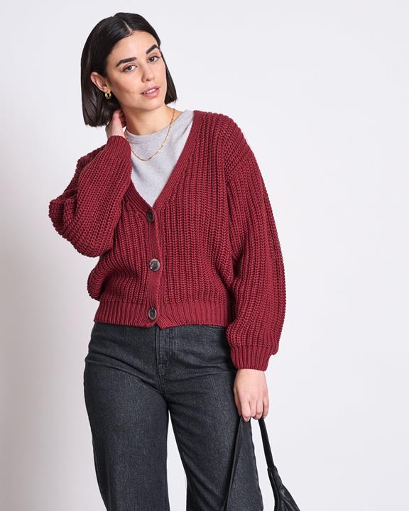 Dikke Cardigan Lena Syrah Rood from Shop Like You Give a Damn