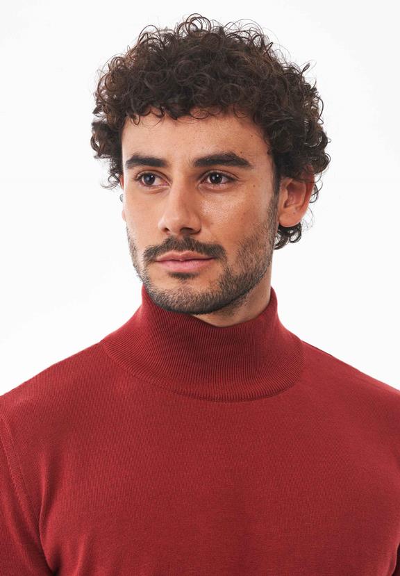 Turtleneck Sweater Dark Red from Shop Like You Give a Damn