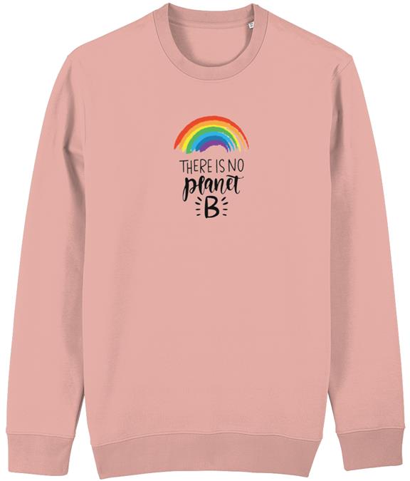Sweater Unisex No Planet B Canyon Pink 2