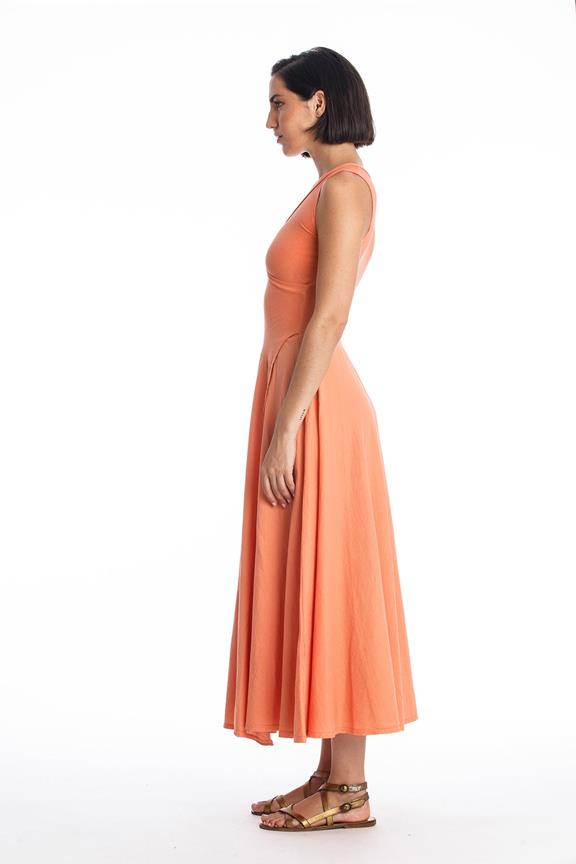 Dress Veronika Ns Apricot from Shop Like You Give a Damn