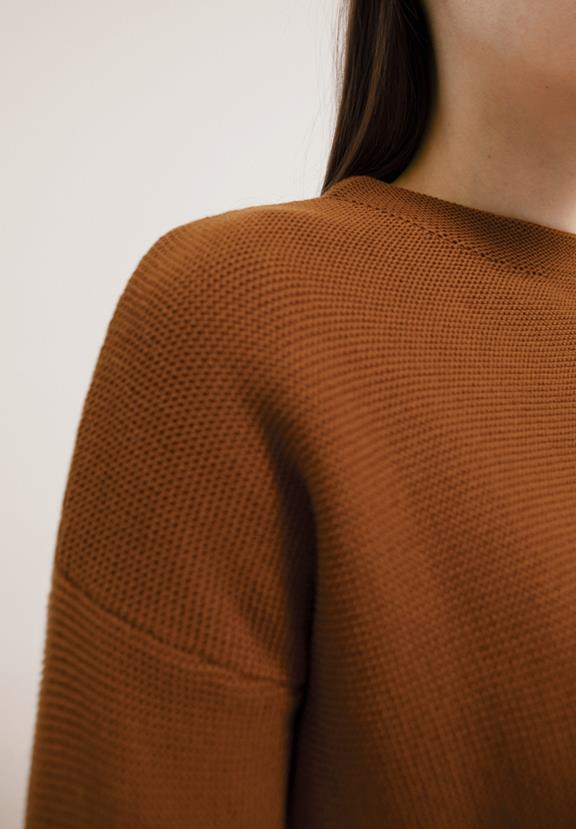 Sweater Catalinaa Ginger Brown 6
