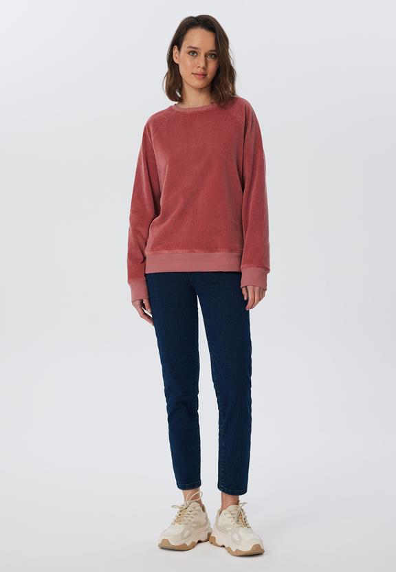 Sweatshirt Corduroy Donker Mauve from Shop Like You Give a Damn