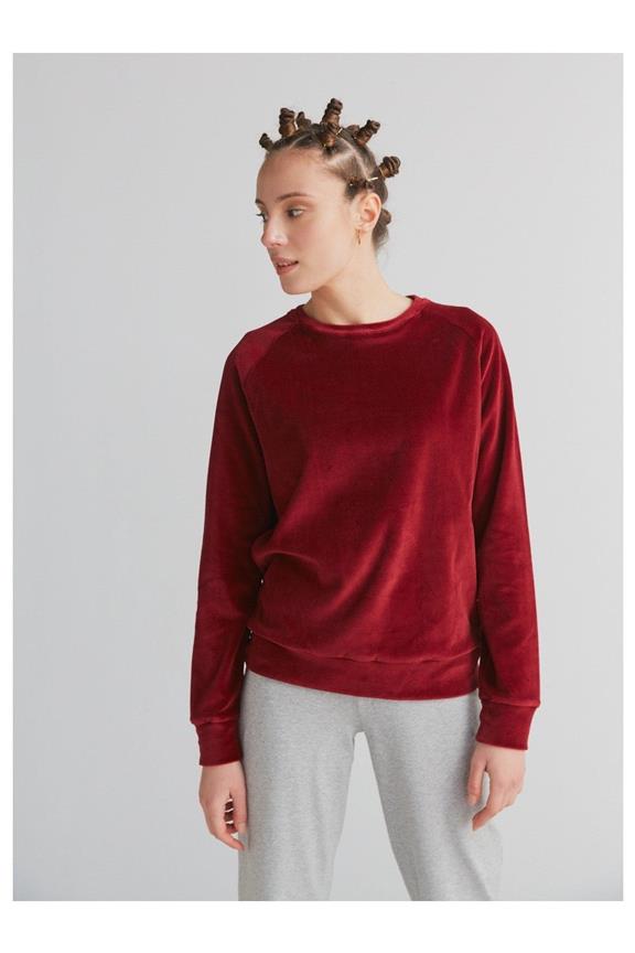 Sweatshirt Nicky Bordeauxrood via Shop Like You Give a Damn