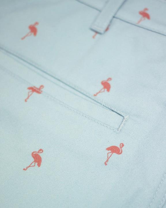 Shorts Flamingo Lichtblauw 2