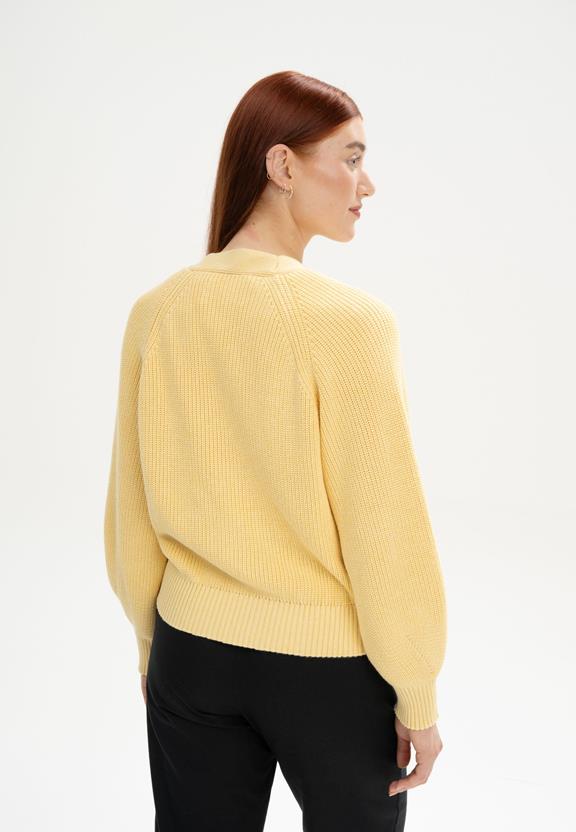 Ribgebreide Cardigan Bhuma Buttercup Melange Geel from Shop Like You Give a Damn