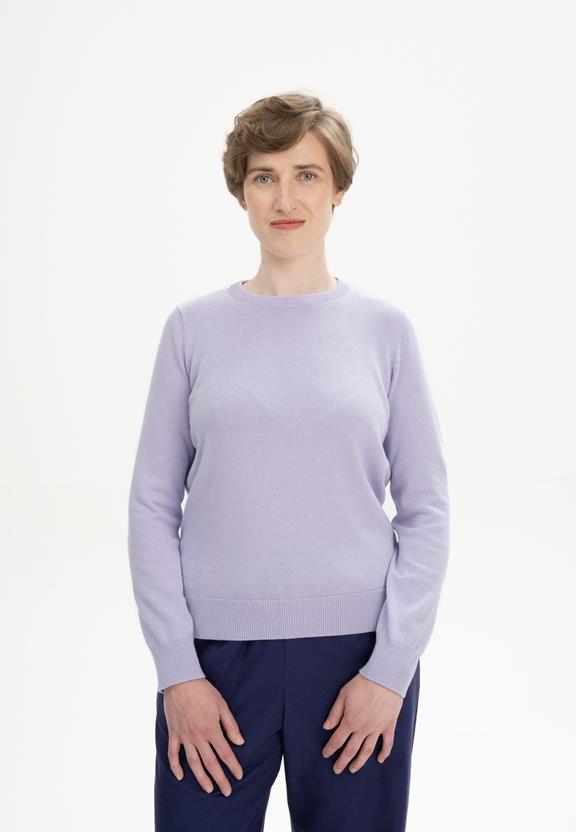 Trui Fine Knit Dhana Crocus Paars via Shop Like You Give a Damn