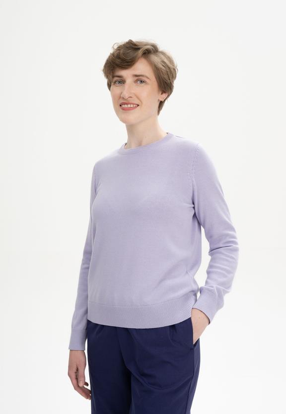 Trui Fine Knit Dhana Crocus Paars from Shop Like You Give a Damn