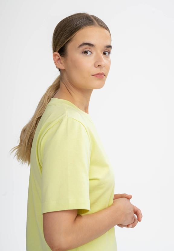 T-Shirtjurk Zware Shrishti Gember Citroengroen from Shop Like You Give a Damn