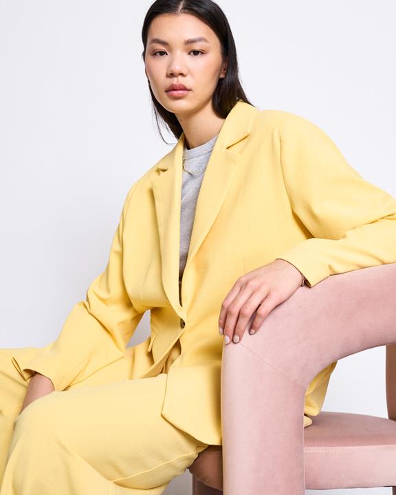 Blazer Met Split Op De Rug Jels Buttercup from Shop Like You Give a Damn