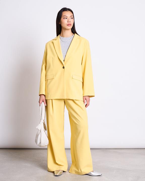 Blazer Met Split Op De Rug Jels Buttercup from Shop Like You Give a Damn