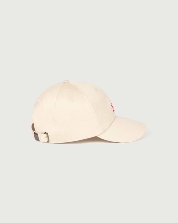 Cap Type Zon Chris Raw from Shop Like You Give a Damn