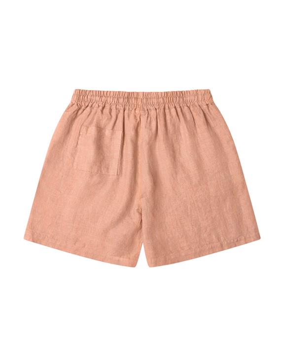 Shorts Simple Rosa 3