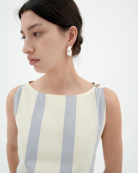 Jurk Cecile Gestreept Bruin En Blauw from Shop Like You Give a Damn