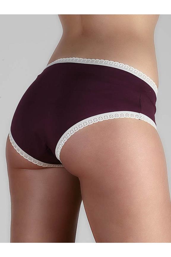 Multipack X4 Slips Hipster Met Kant Aubergine Donkerrood from Shop Like You Give a Damn