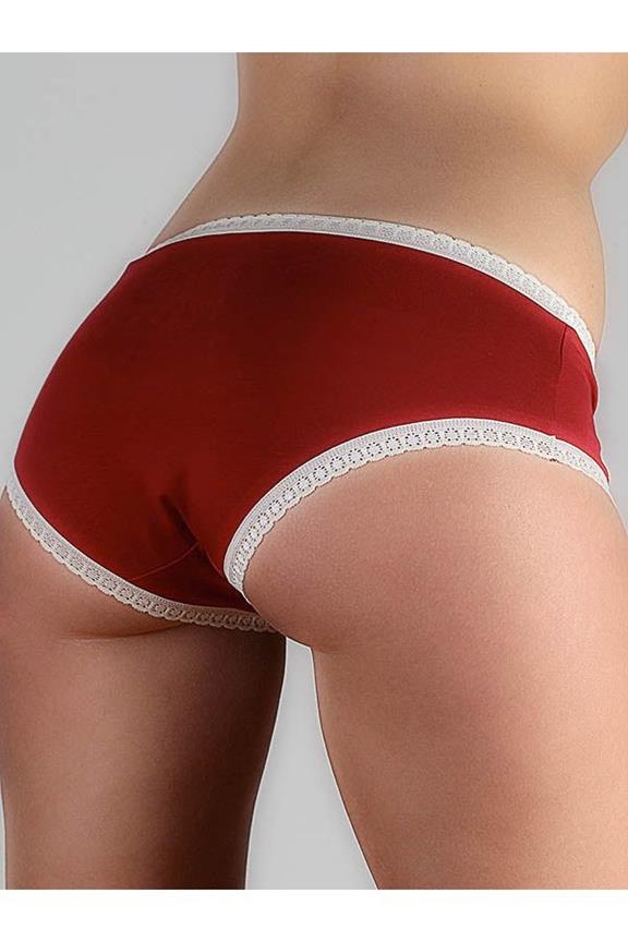 Multipack 6x Slips Hipster Met Kant Rood from Shop Like You Give a Damn