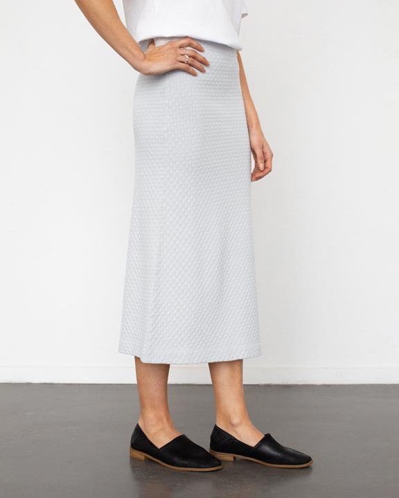 Rok Midi Gebreid Grijs from Shop Like You Give a Damn