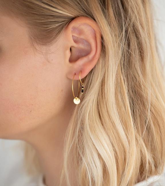 Earrings Dijon Gold 1