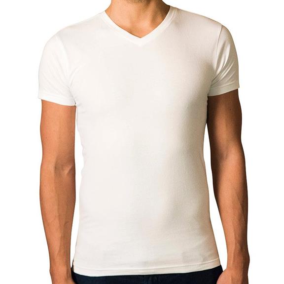 The Driftwood Tales Multipack 2x T-Shirt Basic V-Hals Wit