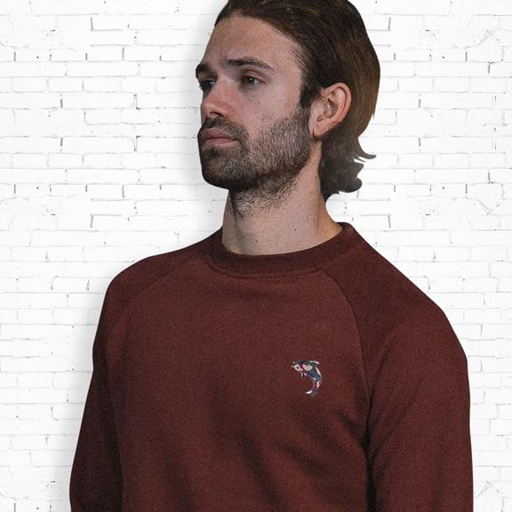 Sweater Carp - Burgundy 2