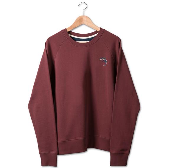 Sweater Carp - Burgundy 4