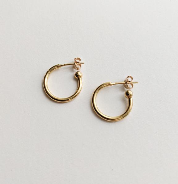 Earrings Small Hoops Gold Plated 1