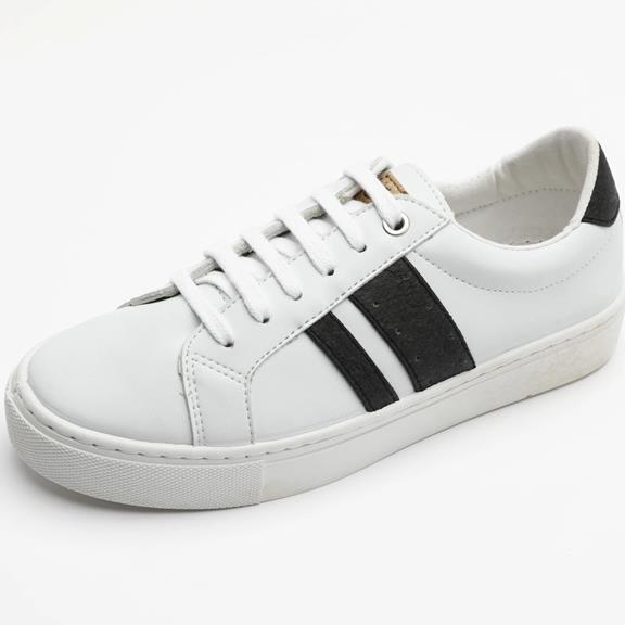 Sneakers Ames Charcoal 5
