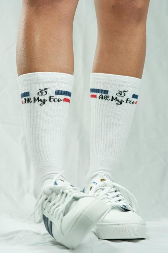 Socks Ame White 4