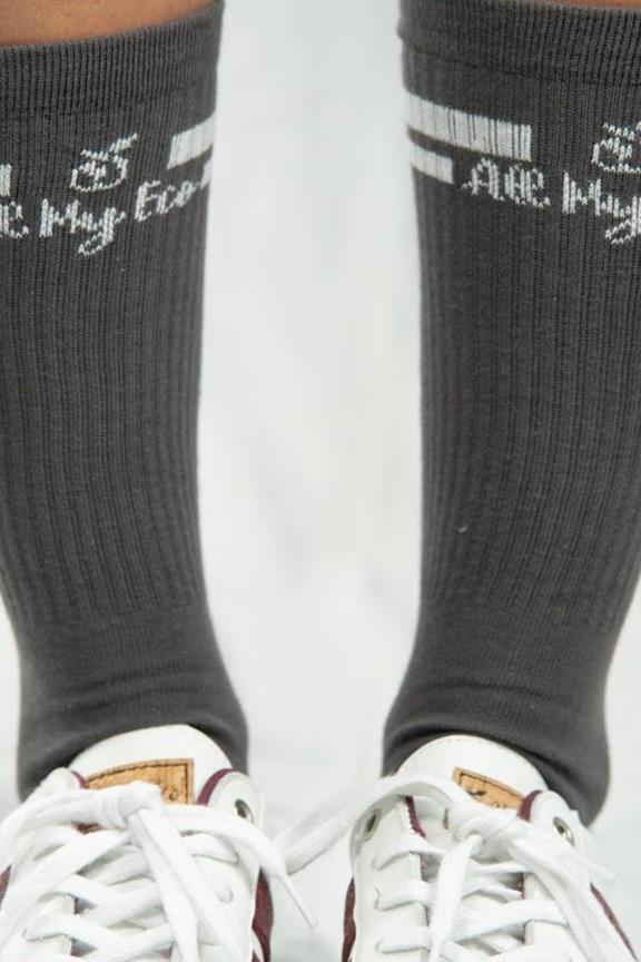 Socks Ame Grey 5
