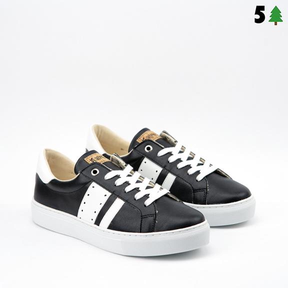 Sneakers Ames Barky Black 1