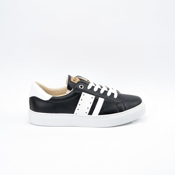 Sneakers Ames Barky Black 2