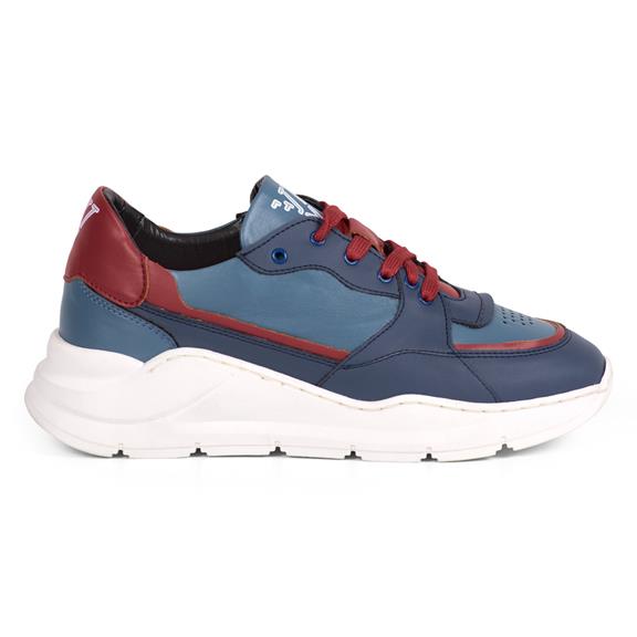 Sneaker Goodall Ii Blue & Red 1