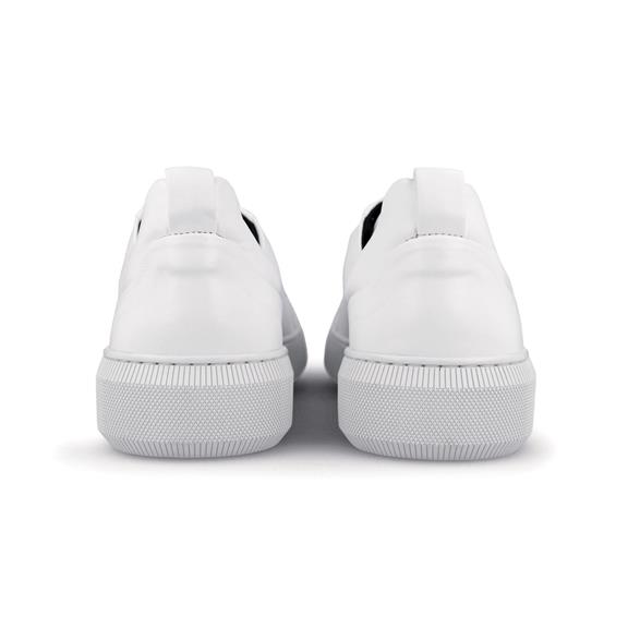 Nikola Sneaker All White 3