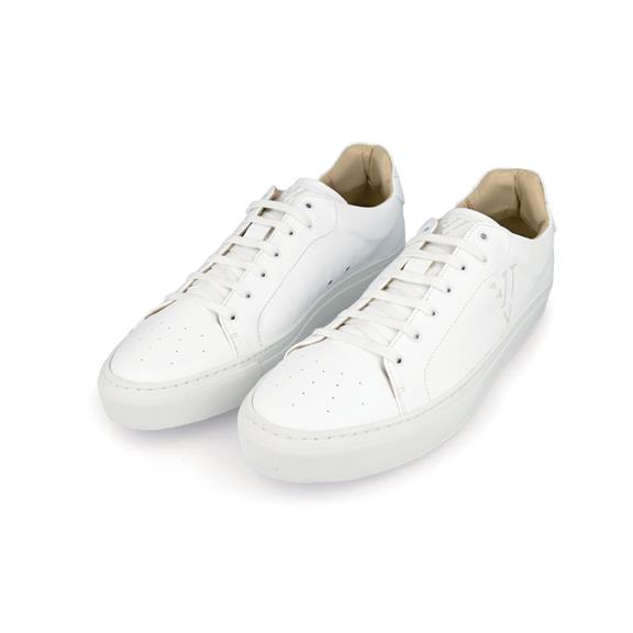 Carson Sneaker All White 2