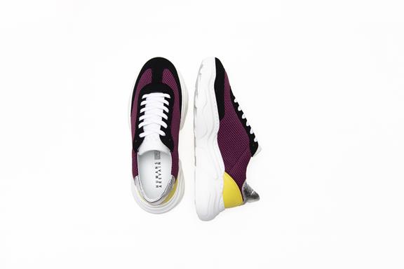 Sneaker Evolve Purple 3