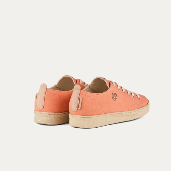 Sneaker Life Orange 3