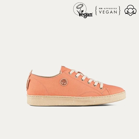 Sneaker Life Orange 7