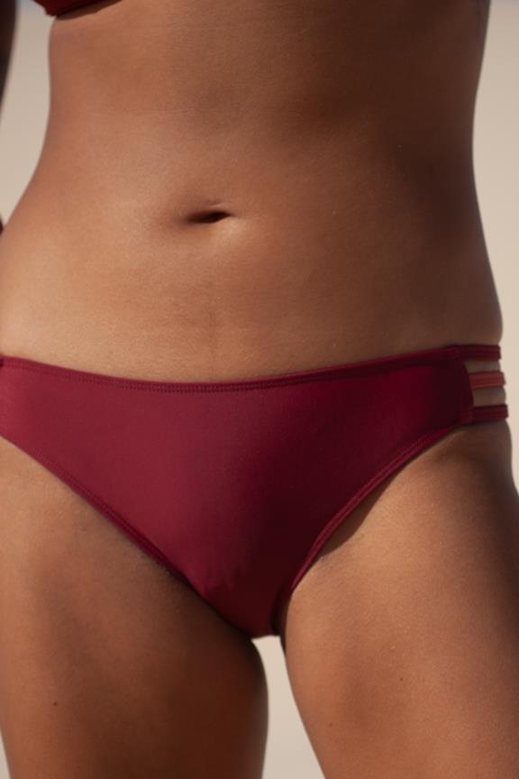 Brazilian Cut Bikini Bottom Free Dark Red 4