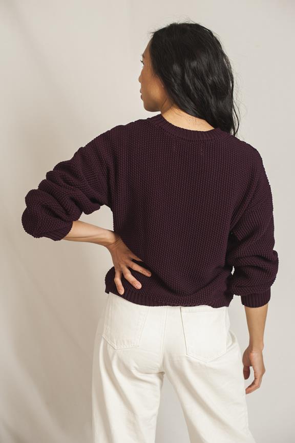 Jumper Paolo Plum 4