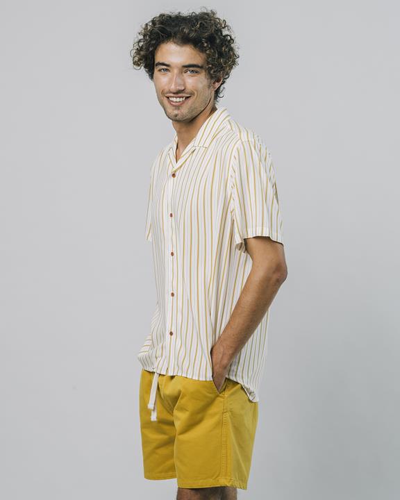 Shirt Narciso Stripe Yellow 1