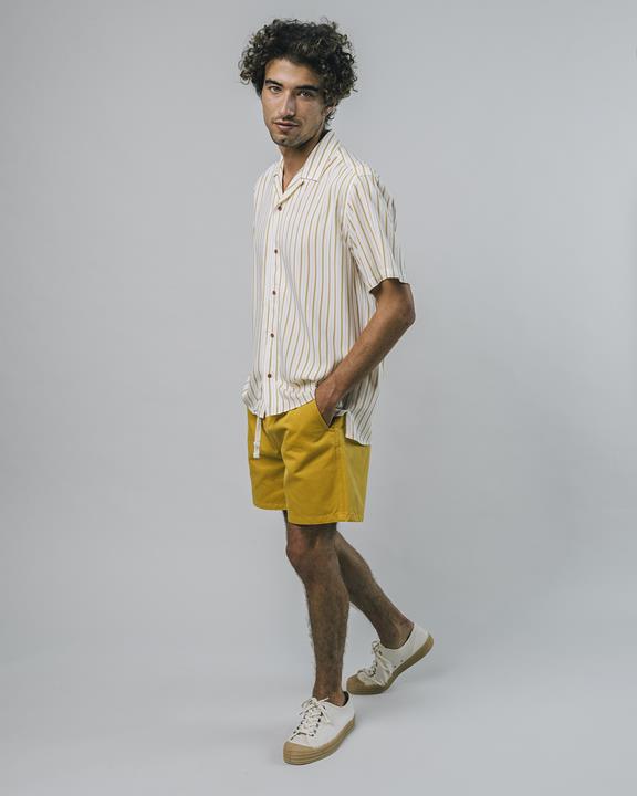 Shirt Narciso Stripe Yellow 2