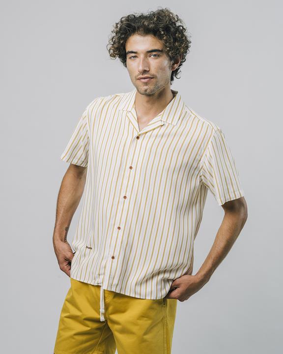 Shirt Narciso Stripe Yellow 5