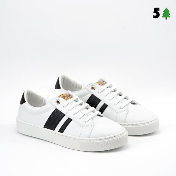 Sneakers Ames White Black 1
