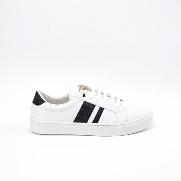 Sneakers Ames White Black 3
