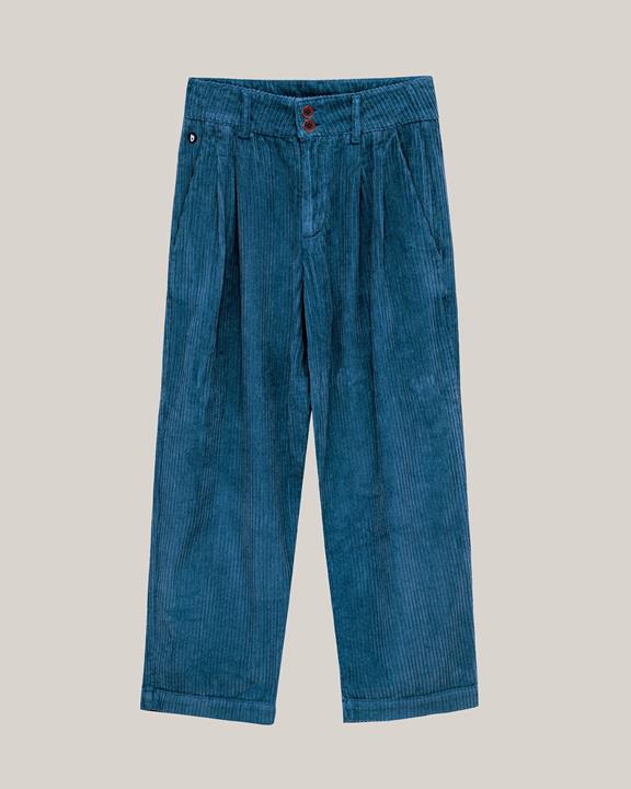 Pants Corduroy Blue 2