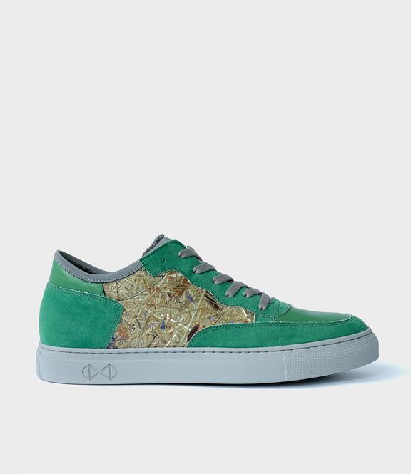 Sneakers Hayfield Groen 5